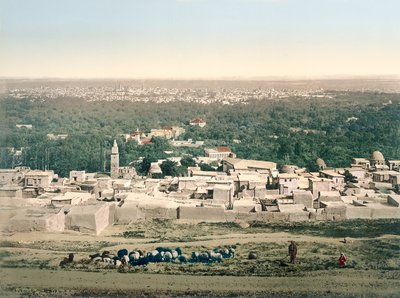 Vista general de Damasco, c.1880-1900 de Swiss Photographer